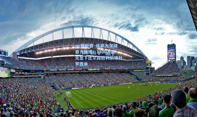 pg模拟器_比萨为保级奋力拼搏！1100万欧元签下比尔森胜利前锋杜罗西米