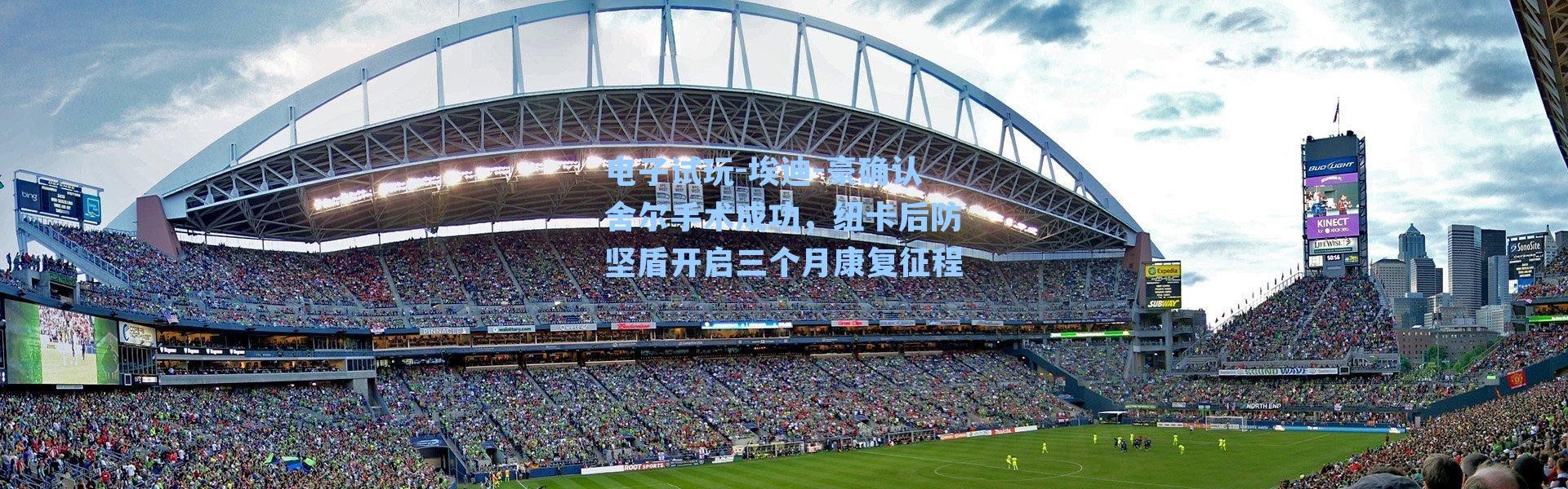 电子试玩-埃迪-豪确认舍尔手术成功，纽卡后防坚盾开启三个月康复征程