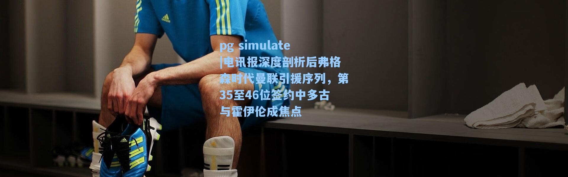 pg simulate|电讯报深度剖析后弗格森时代曼联引援序列，第35至46位签约中多古与霍伊伦成焦点